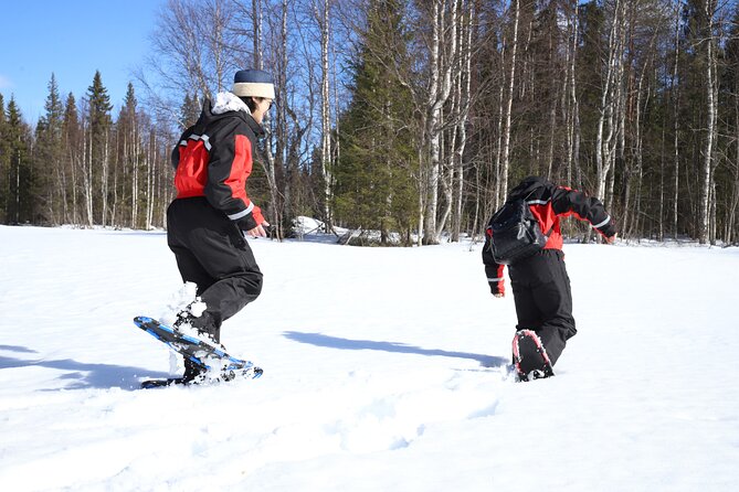 Rovaniemi Wilderness Small-Group Tour With Lunch - Common questions