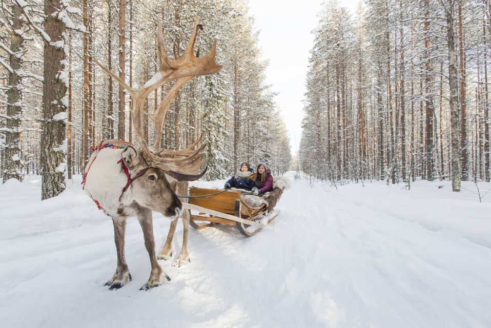 Rovaniemi: Winter Snowshoeing, Reindeer & Husky Sleigh Ride - Booking Information