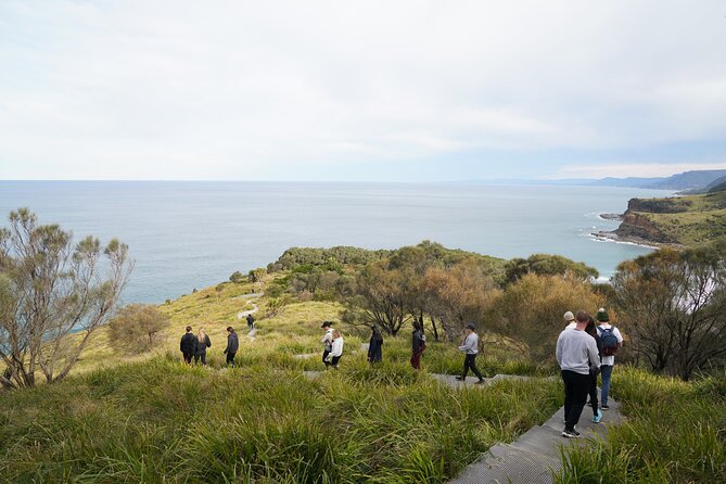 Royal National Park Day Trip Hike - Wildlife Spotting Tips