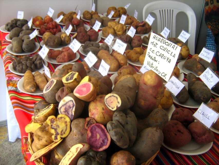 Rural Community Tourism in the Potato Park - Sacred Valley - Community Engagement and Sustainability