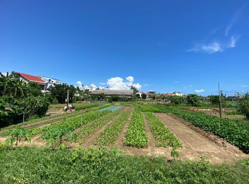 Rural Hoi An Cycling Tour: Explore the Authentic Charm - Detailed Itinerary