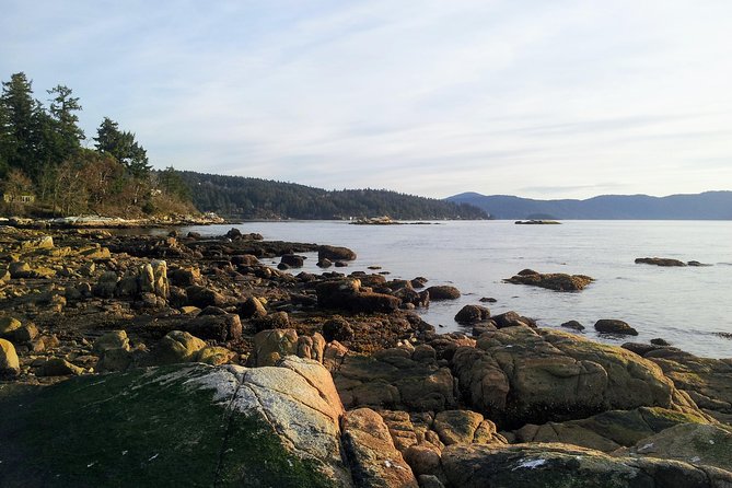 Saanich Peninsula Highlights Private Tour  - Vancouver Island - Additional Information