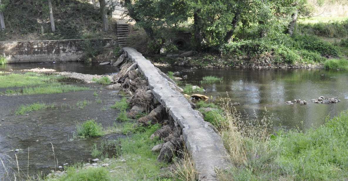 Sabugal: Stories of the Côa and Its Castle, Walking Tour - Restrictions