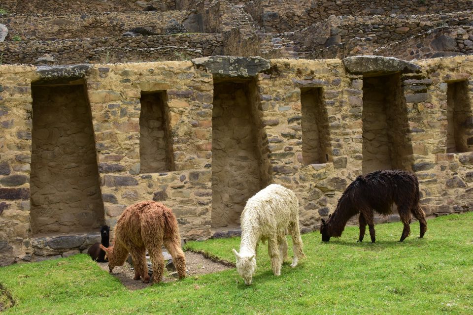 Sacred Valley Peru Tours Full Day - Safety and Assistance