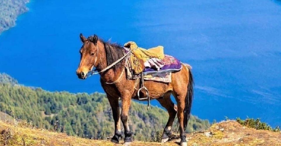 Saddle Up for a 1-Hour Horseback Riding Adventure in Pokhara - Full Description of Experience