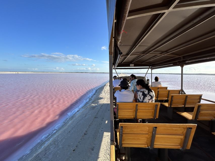 Safari Tour Around the Pink Lakes of Las Coloradas - Off-Road Adventure