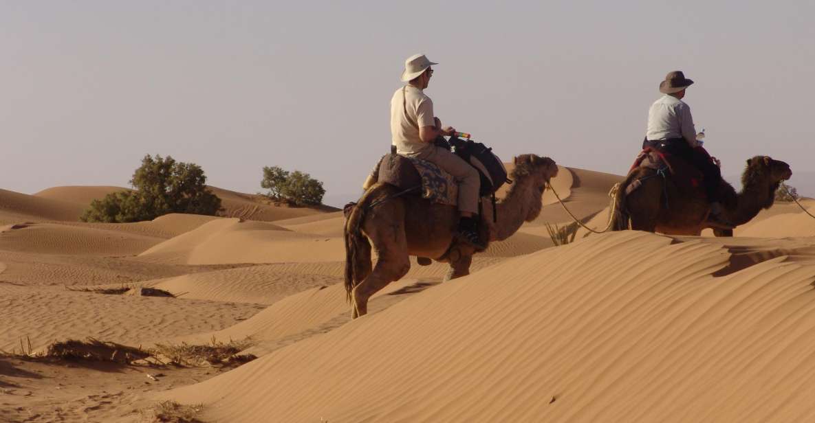Sahara Desert Private Tours - Customer Reviews and Feedback