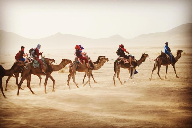 SAHARA DESERT: Shared 3 Day Tour From Marrakech via Dadès Valley - Last Words