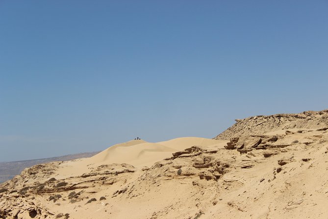Sahara Tour : Half Day Trip to Sahara (Sand Dunes ) With Lunch - Booking Information