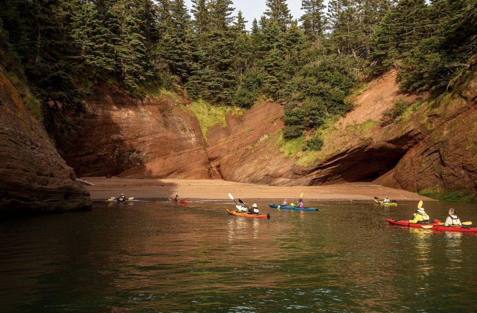 Saint John: Bay of Fundy Guided Kayaking Tour With Snack - Important Information and Requirements