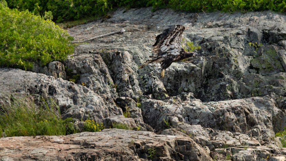 Saint John River: River Relics Kayak Tour - Full Description of Tour