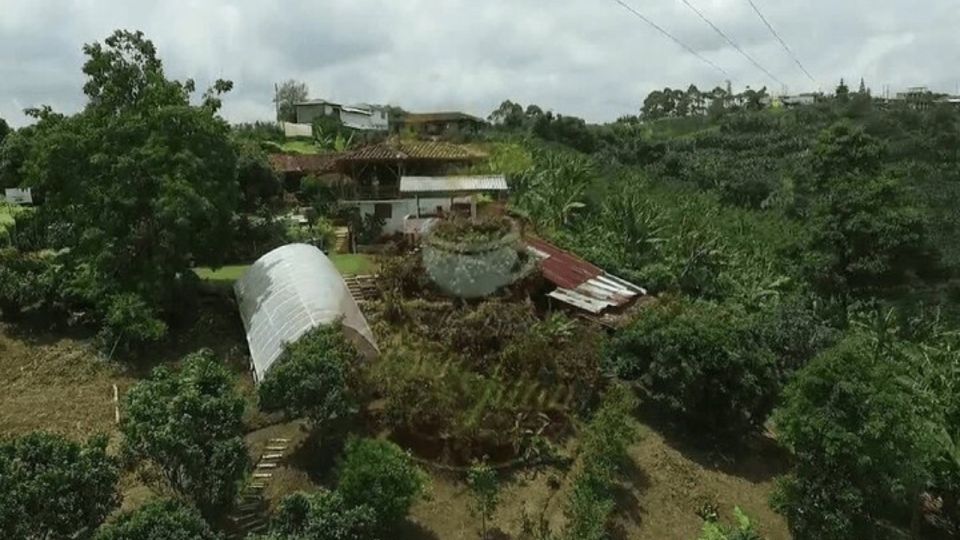 Salento and Cócora Tour Coffee Farm From Pereira/Armenia - Customer Reviews