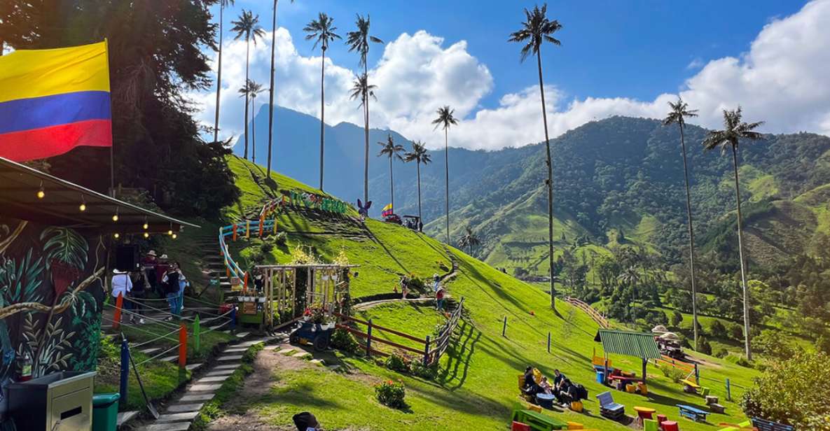 Salento, Cocora and Filandia Full Plan From Pereira/Armenia - Cocora Valley Experience