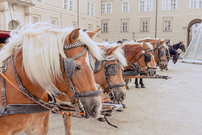 Salzburg Sightseeing Day Trip From Munich by Rail - Experience and Highlights