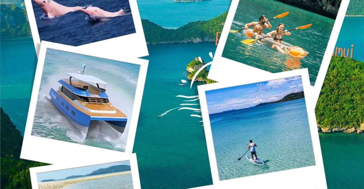 Samui Dolphins Tour by Catamaran Yacht - Optional Luxury Experience