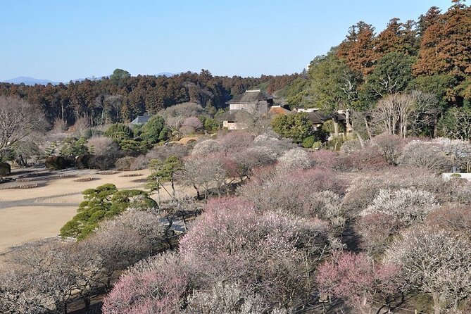 Samurai Private Tour With Umeshu Tasting in Mito - Additional Support