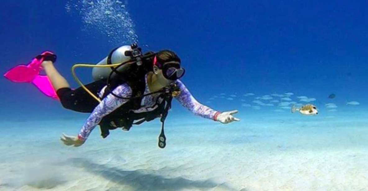San Andres: SCUBA Diving Experience With Hotel Pickup - Review Summary