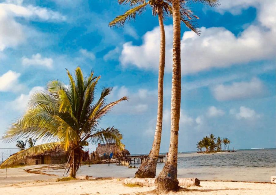 San Blas Day Tour: Explore the Top 3 Islands, From San Blas - Relaxation at Perro Chico Island