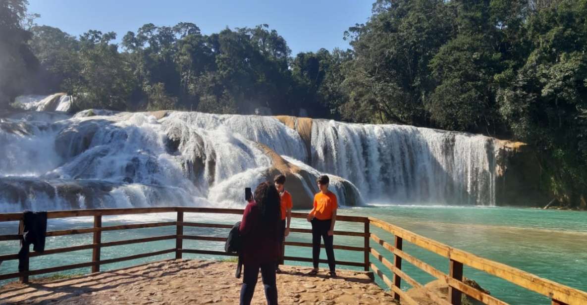 San Cristobal: Agua Azul, Misol Ha & Palenque Experience - Experience at Misol Ha Waterfall