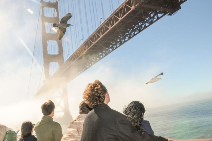 San Francisco: Buffet Lunch or Dinner Cruise on the Bay - Important Booking Details