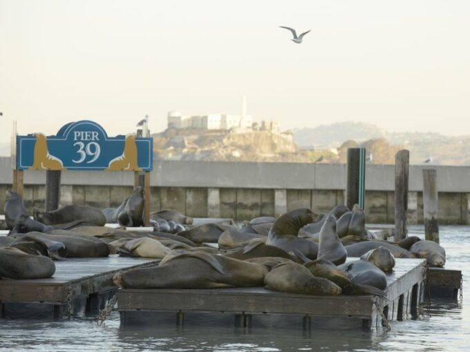 San Francisco CityPASS: Save 46% at 4 Top Attractions - Usage and Validity Details for CityPASS