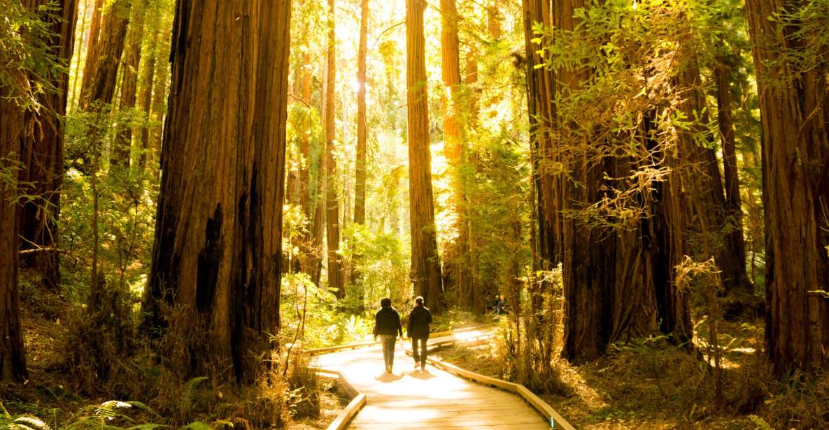 San Francisco: Muir Woods and Sausalito Experience - Review Ratings