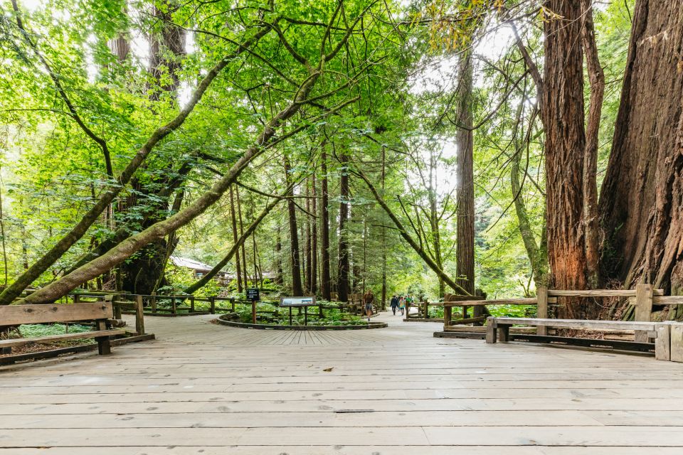 San Francisco: Muir Woods and Sausalito Small-Group Tour - Experience Highlights