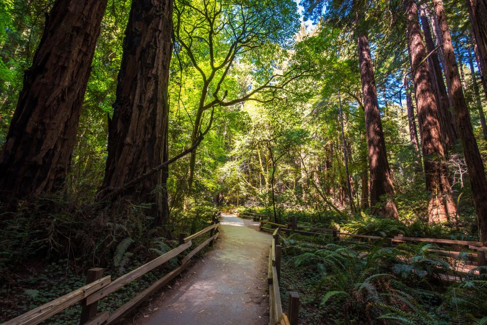 San Francisco: Muir Woods, San Francisco and Sausalito Tour - Booking Details and Options