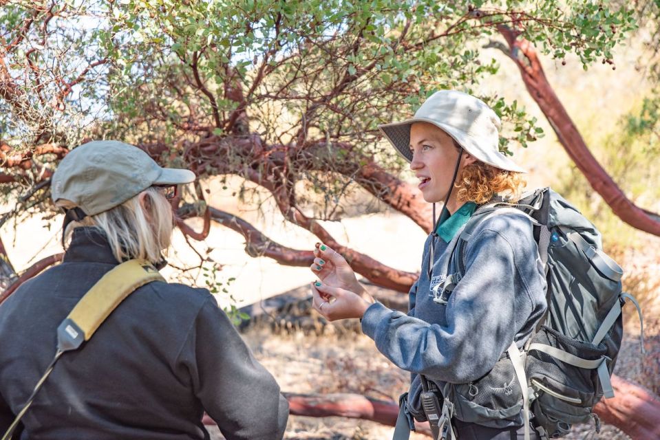 San Luis Obispo: Margarita Ranch Foraging Tour - Activity Description