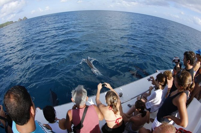 Sancho Bay Swim From Fernando De Noronha - Directions and Policies