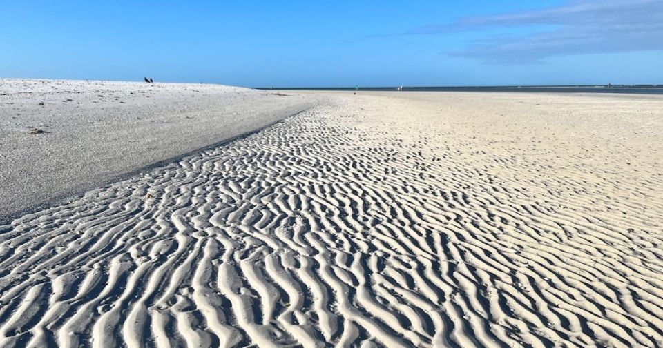 Sand Bar Shelling Tour - Inclusions