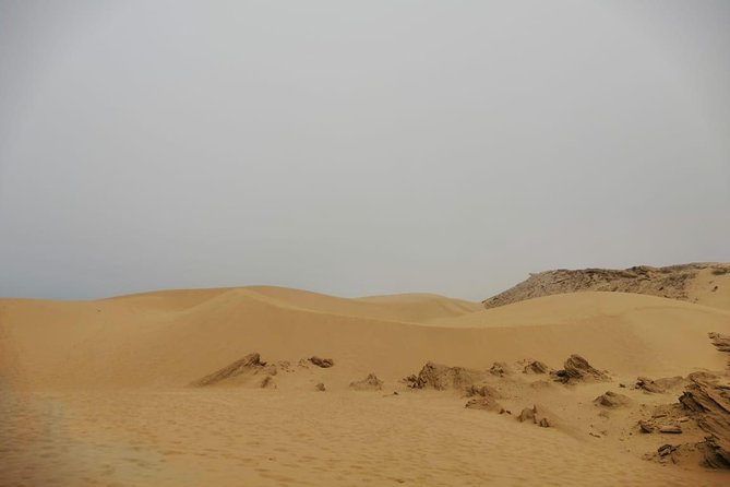 Sandboarding Guided Experience From Agadir - Weather Policy and Cancellation