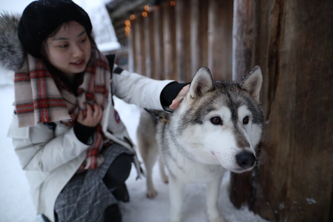 Santa Claus Village, Husky and Reindeers Combo Safari - Traveler Experiences