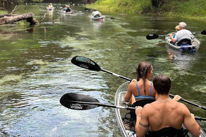 Santa Fe River Small-Group Glass-Bottom Kayaking Tour  - Florida - Safety Measures Provided