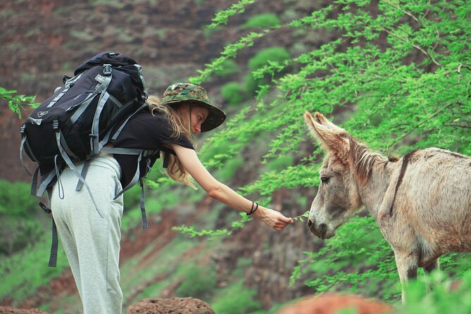 Santiago Island: 4-Hour Calabaceira Valley Hike & Guided Tour to Cidade Velha - Tour Itinerary