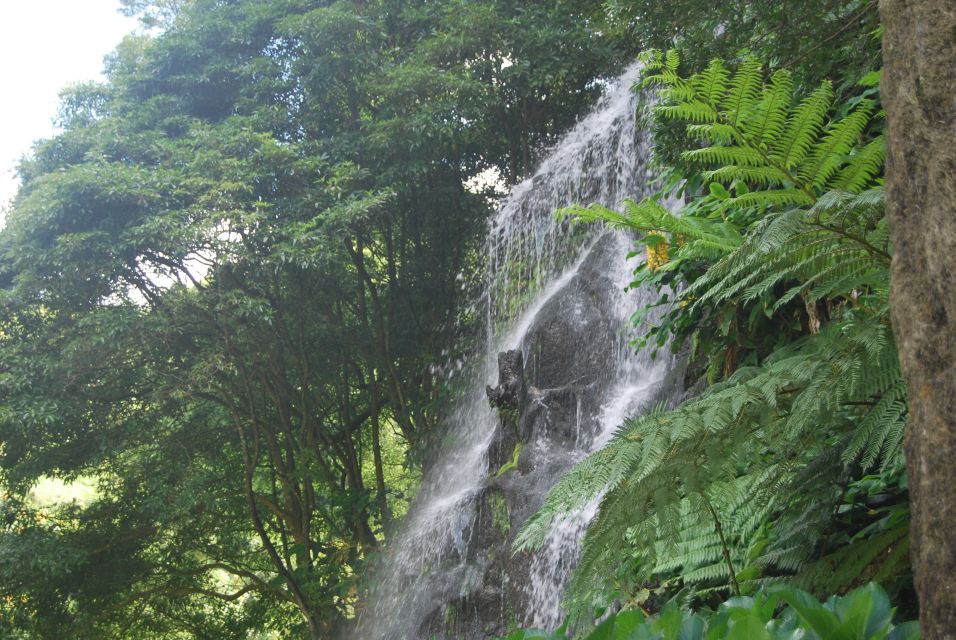 São Miguel: Full-Day Nordeste & Waterfall Tour With Lunch - Tour Experience