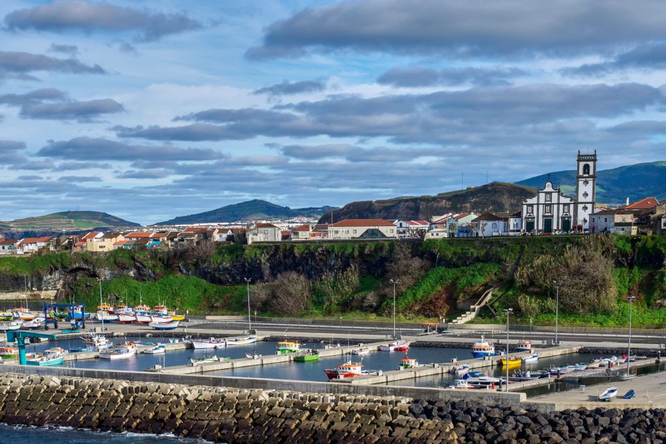 São Miguel: North Coast Whale Watching Cruise - Full Description