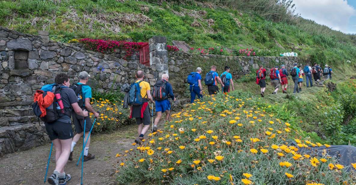 São Miguel: Ribeira Funda Hike & Tea Plantation With Lunch - Highlights