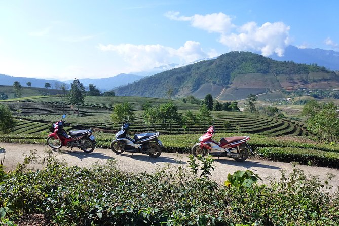 Sapa Full Day Motorbike Tour - Authenticity Verification