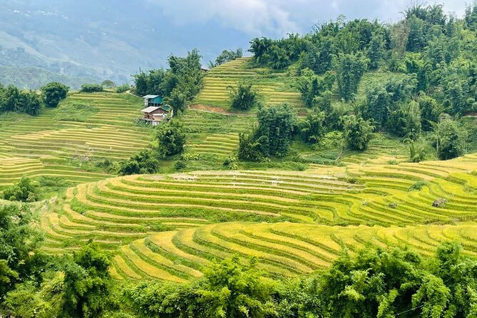 Sapa Motorbike Tour With Local Guide 1 Day - Customer Reviews