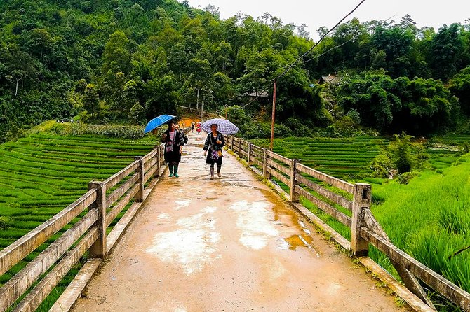 Sapa Rice Terraces 2-Day Small-Group Tour - Customer Reviews