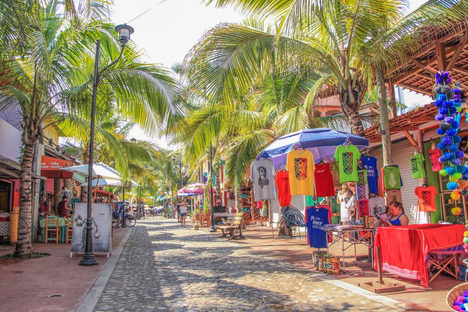 Sayulita and San Pancho Day Trip - Highlights