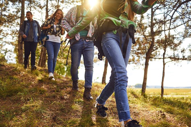 Scavenger Hunt Bad Schandau- Independent Discovery Tour of Saxon Switzerland - What to Expect on the Tour