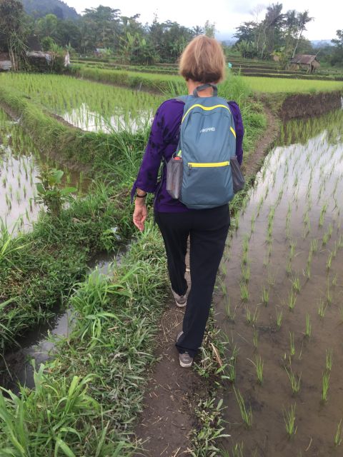 Scene of Sidemen Trekking - Crossing Hanging Bridges and Rice Fields