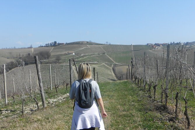 Scenic Langhe Hike and Wine Tasting From Alba  - Langhe-Roero and Monferrato - Important Information