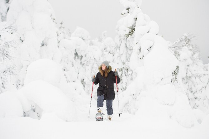 Scenic Snowshoeing on the Top of Pyhä Fell - Common questions