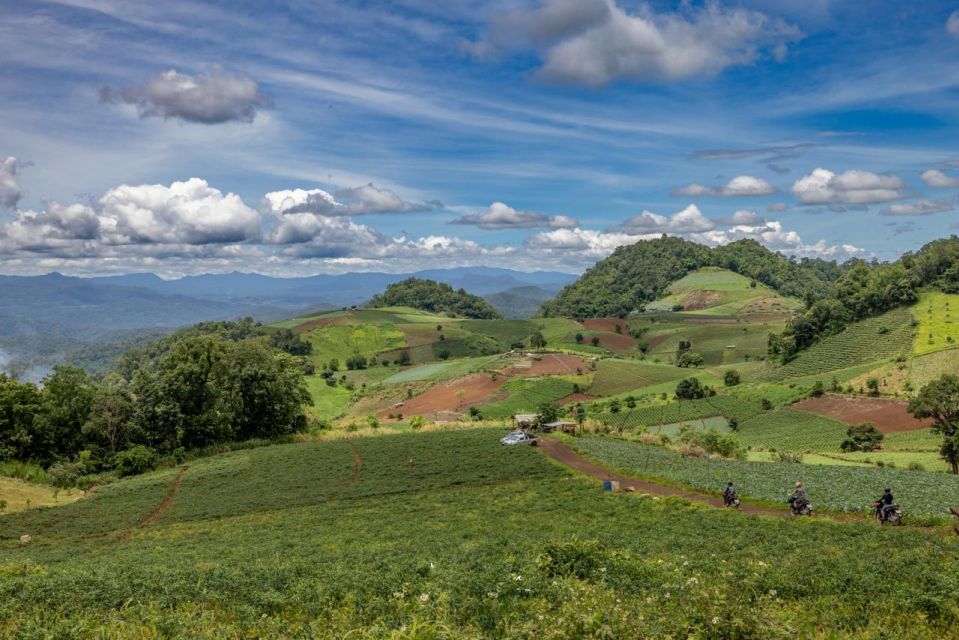 Scooter Adventure Incl Elephants, Cave - Activity Highlights