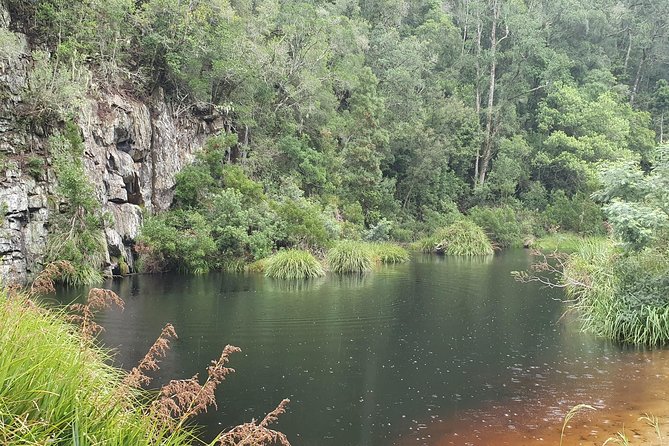 Scooter Tours Through Tsitsikamma National Park - Meeting Point Details