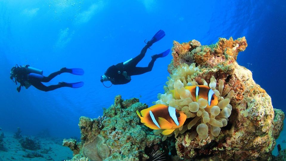 Scuba Diving: Explore the Depths of Alanya - Language and Instructor Information