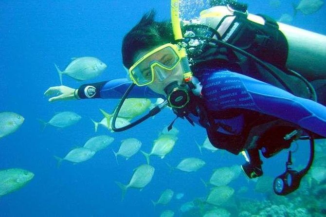 Scuba Diving for Beginners With Lunch in Fethiye - Pickup Instructions